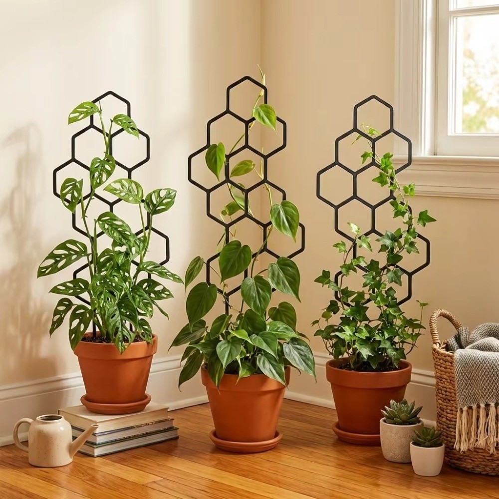 Sphagnum Moss Dry - Honeycomb Design Plant Trellis Rustproof Plastic