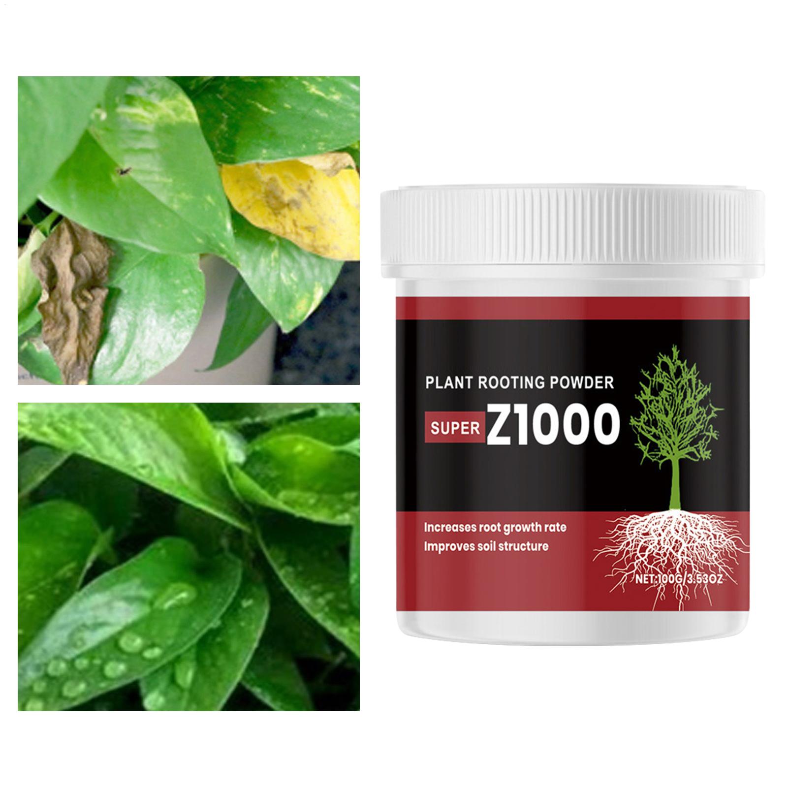 Rooting Ho Rmone Powder For Pl - огляд і ціна Root Stimulator Liquid