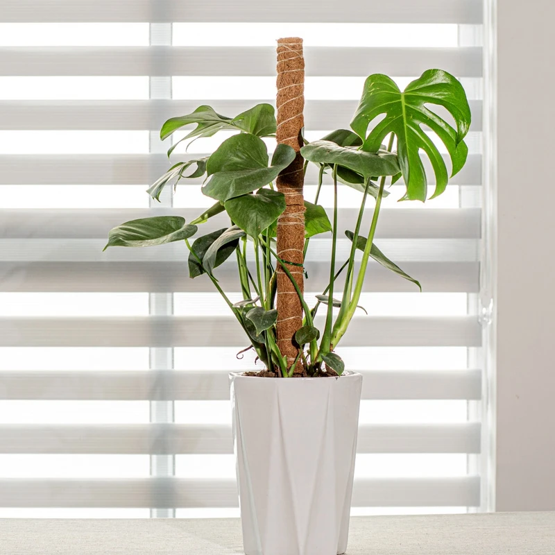 Plant Moss Coir Pole Bendable  - огляд і ціна Sphagnum Moss Dry
